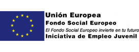 fondoeu-600x128-1 Contratación Estable de Jóvenes Dirección General del Servicio Público de Empleo